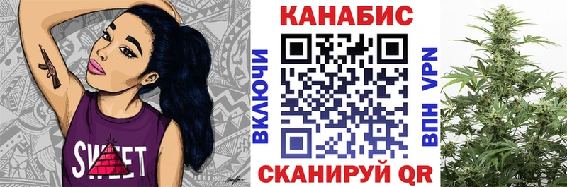 Бошки Шишки семена  цены наркотик  ОМГ ОМГ ССЫЛКА  Вологда 